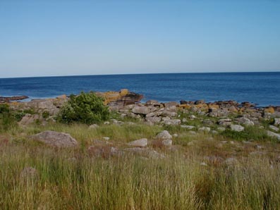 Guidede dykkerture